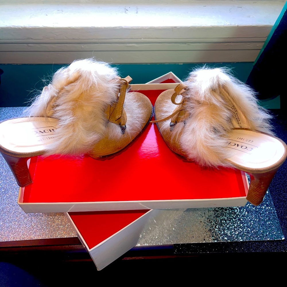 Coach Clogs Boots